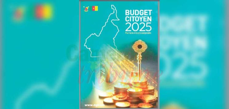 Loi de Finances : le budget citoyen 2025 disponible