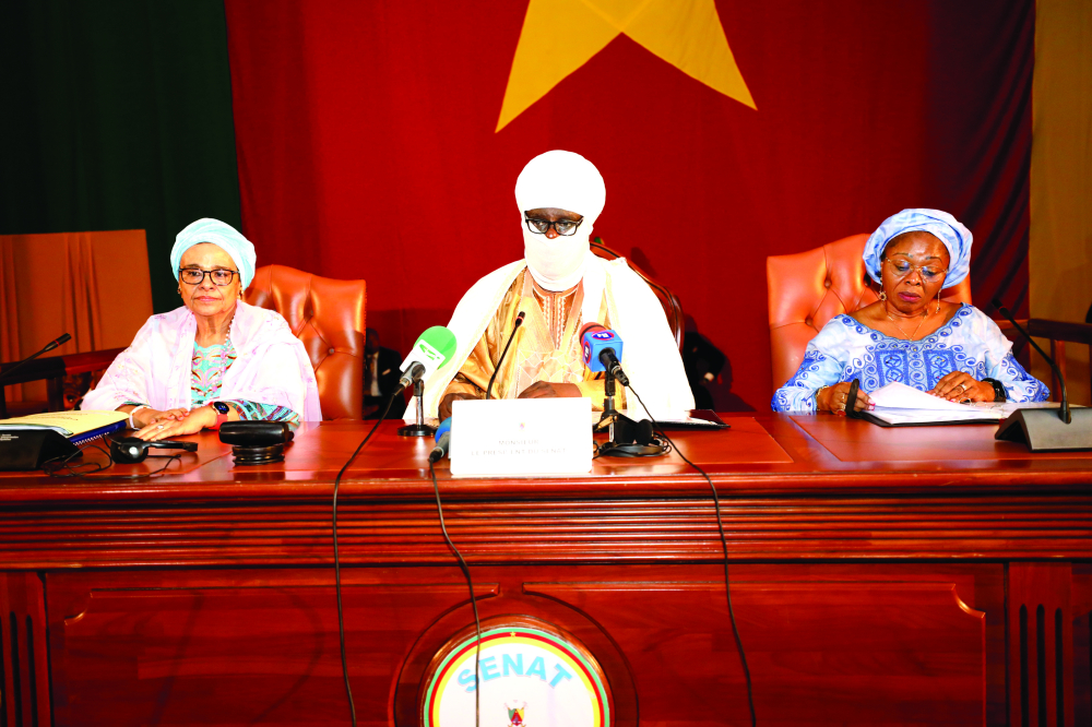 First Vice President presiding the plenary.