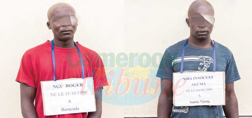 Gruesome Murder of Florence Ayafor :Two Suspects Apprehended