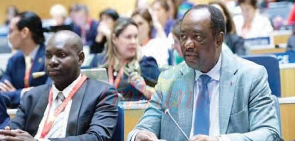 65th Series of Meetings of WIPO : Cameroon Reiterates Commitment