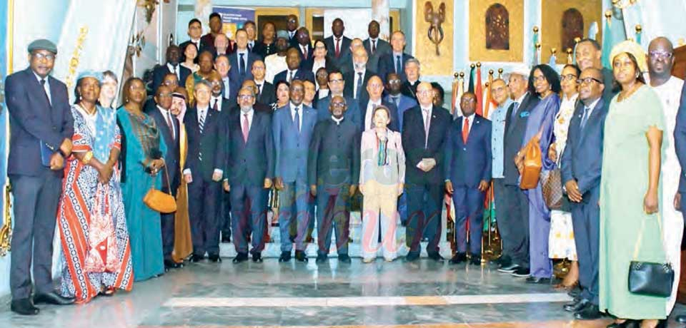 Cameroun - ONU : on est en phase