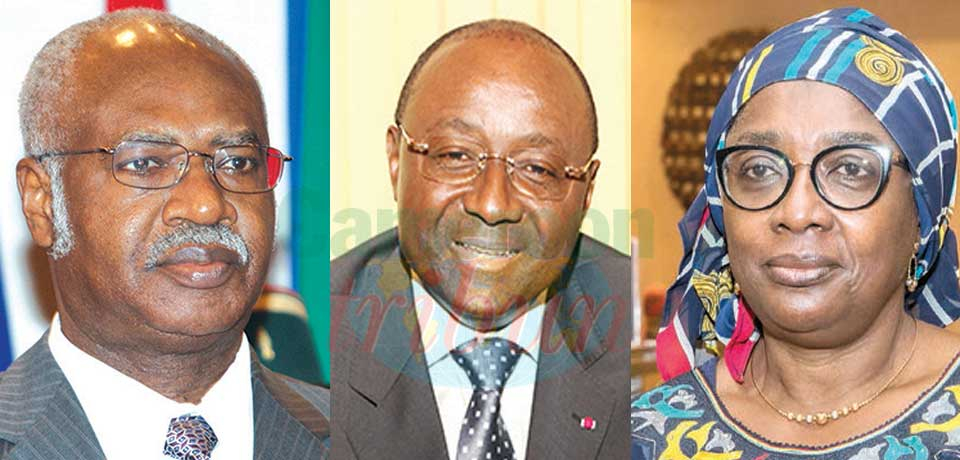 Cameroonians are adequately represented at the helm of international organisations.