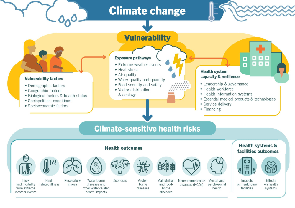 Climate change can alter the distribution and transmission of vector-borne diseases.