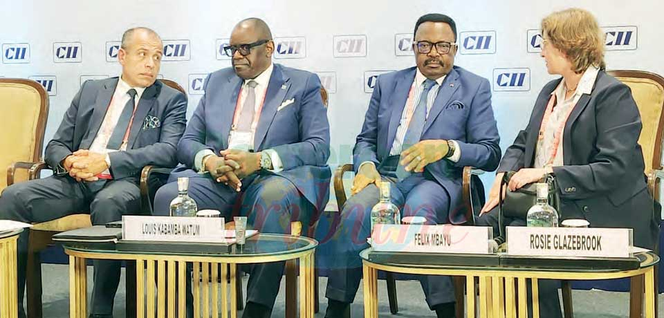 Doing Business In Cameroon : Indian Investors Presented Potentials