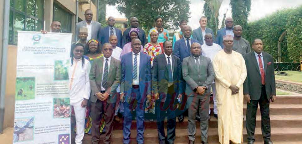 Forest Landscape : Congo Basin Actors Discuss Strategic Management