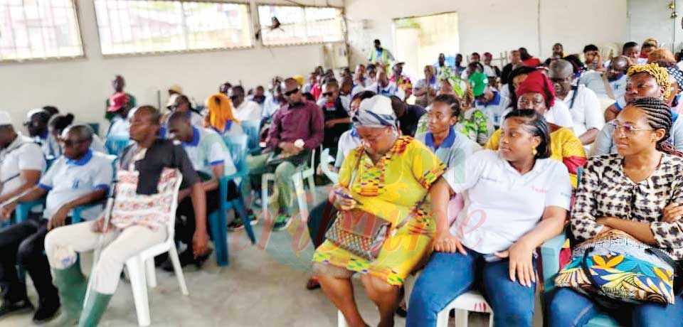 International White Cane Safety Day : Visually Impaired People Advocate Cooperation