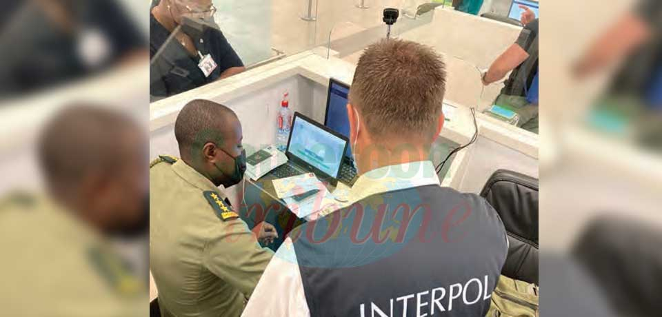 Fraude en ligne : grands coups de filet d’Interpol