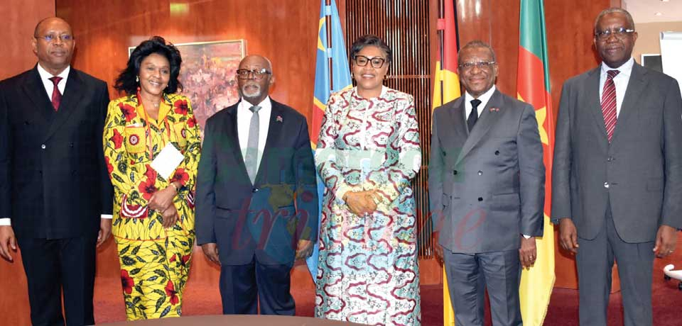 Développement durable : Cameroun et RDC se concertent