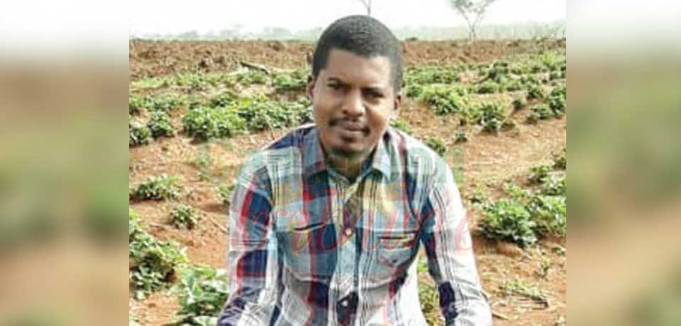 Abdoulaye Souaibou : une passion aux fraises