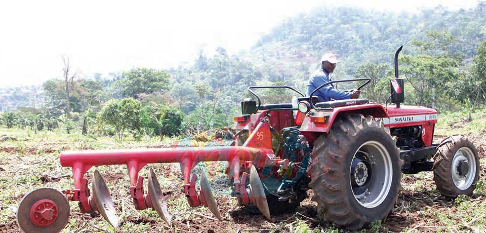 Production agricole : le temps des semis