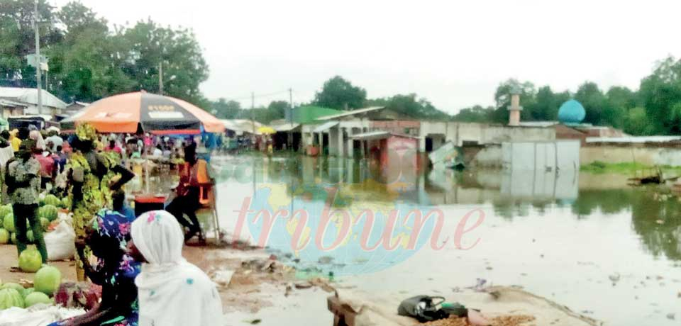 Extrême-Nord : inondations dévastatrices