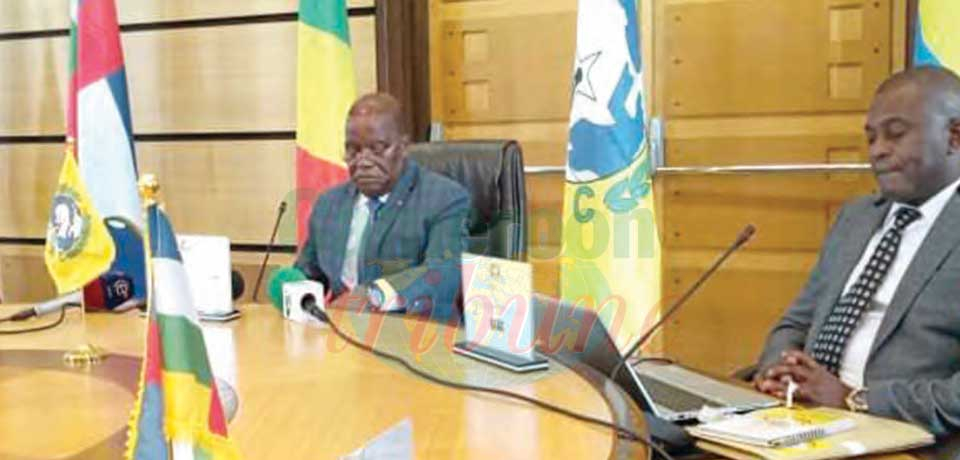 Zone Cemac : pour une harmonisation des statistiques