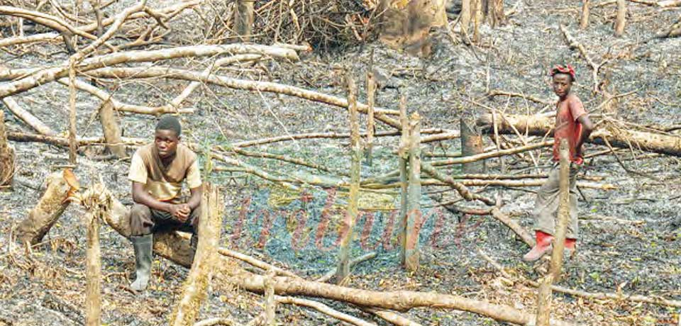 Sauvegarde des terres : les habitudes à abandonner