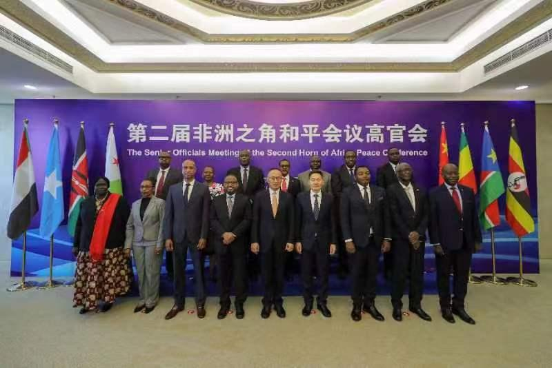 Paix et développement de la Corne de l’Afrique : les bons offices de la Chine