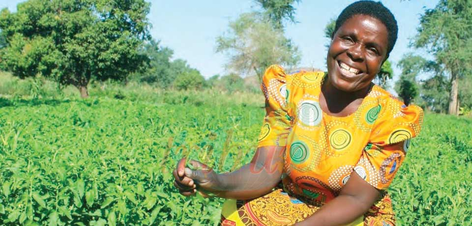 Agriculture, élevage et protection de l’environnement : les clés du développement durable