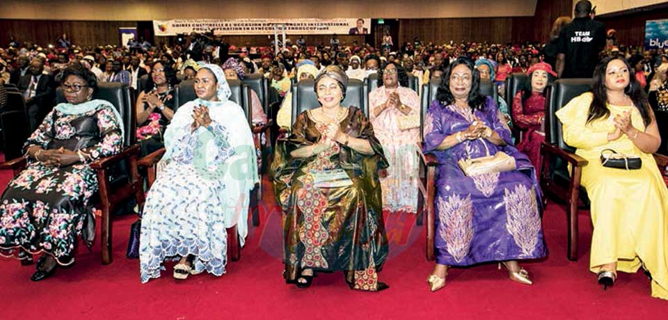 International Congress of Gynaecological Endoscopy: Participants Savour Cameroon's Cultural Heritage