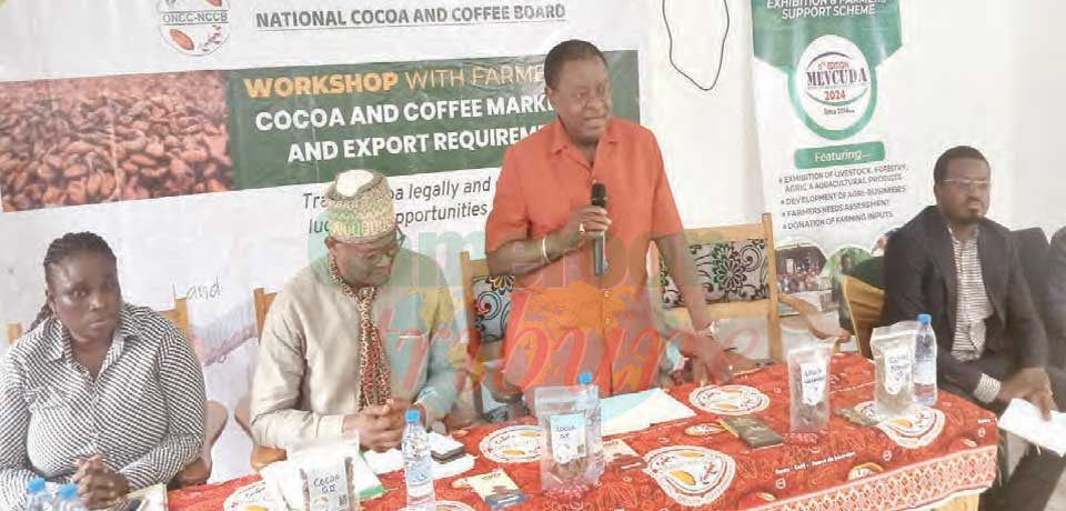 Commercialization of Cocoa : Producers’ Sensitized On New Requirements