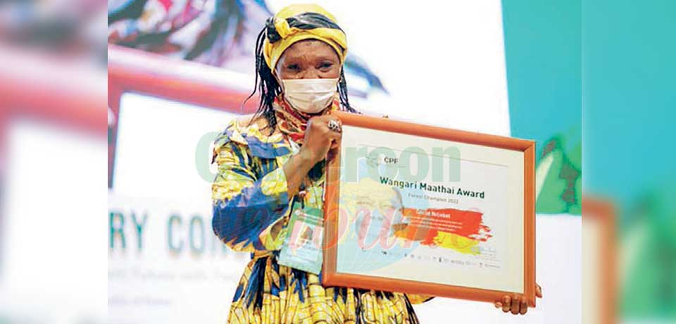 Prix Wangari Maathai: Une Camerounaise distinguée