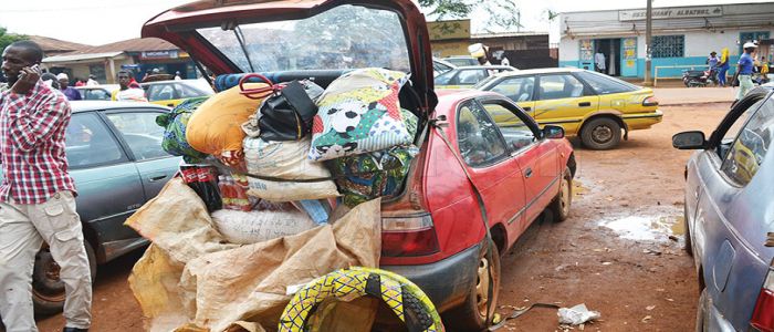 Ngaoundéré: la jungle des clandos