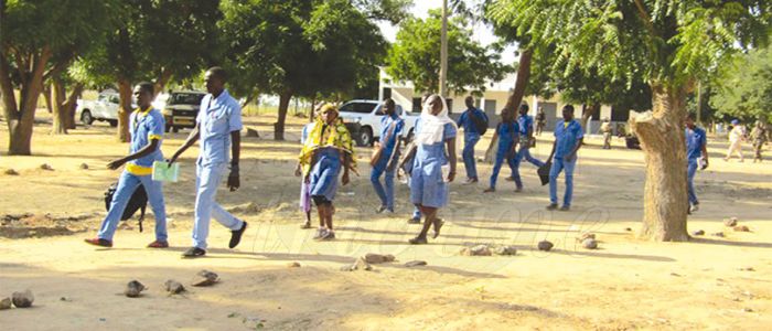 Guerre contre Boko Haram : les zones de conflit revivent  