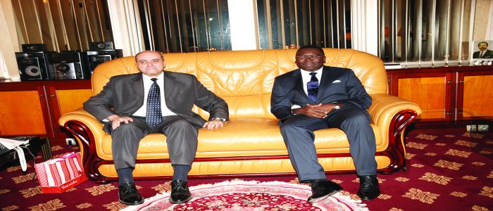 Cameroon-Egypt Cooperation: Ambassador Bids Farewell