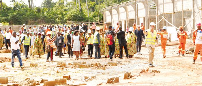 Abattage de poulet : ne usine en chantier  à Dzeng