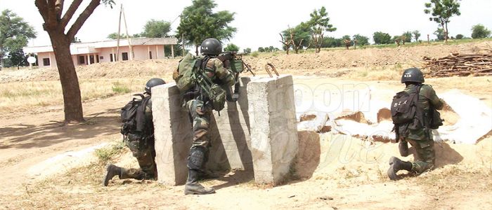 Cameroon-Nigeria: Fruitful Military Cooperation Galvanised From Above