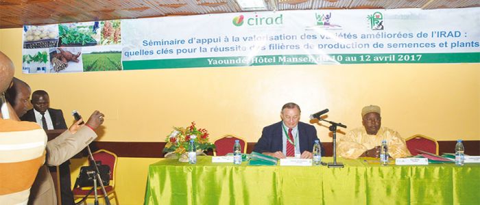 Agriculture: Comment valoriser les semences